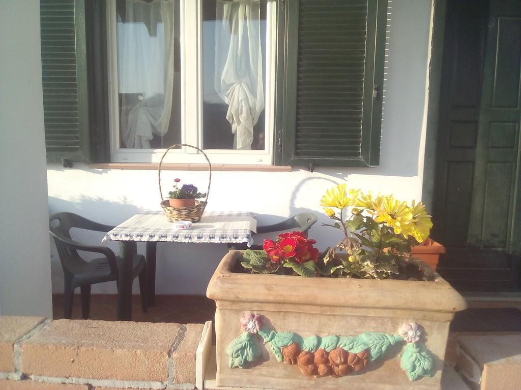 Alba Raimondo House Apartment Santa Vittoria dʼAlba Екстериор снимка